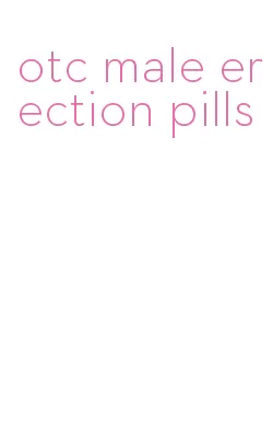 otc male erection pills