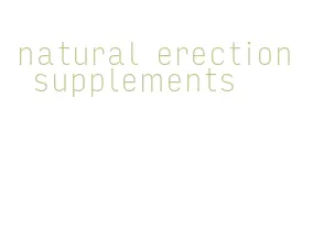 natural erection supplements
