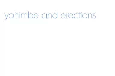 yohimbe and erections