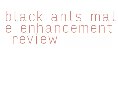 black ants male enhancement review