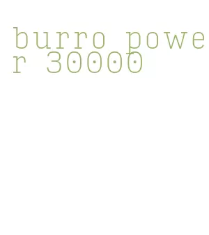 burro power 30000