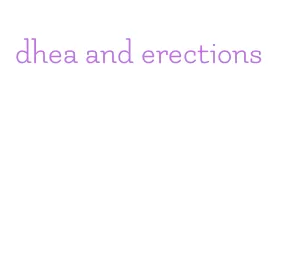 dhea and erections